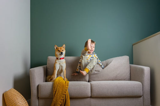 sofa resistente mascota niños alicante